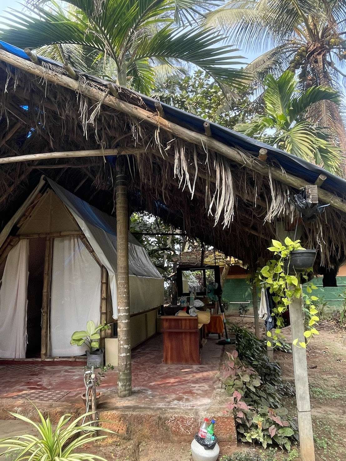 Boutique Casa - Discover the charm of Boutique Casa, where contemporary elegance blends seamlessly with peaceful natural surroundings.